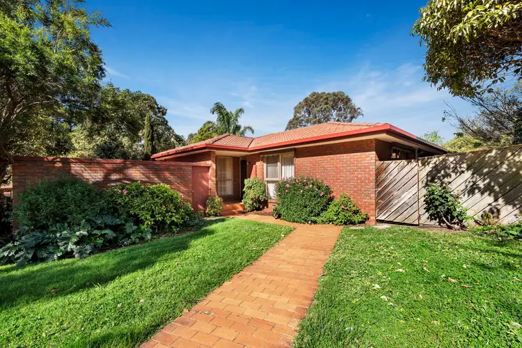 Main view of Homely unit listing, 5/231-239 Canterbury Road, Blackburn VIC 3130