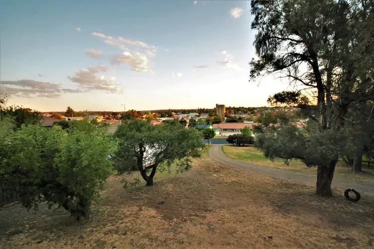 Seventh view of Homely house listing, 173 William Street, Young NSW 2594