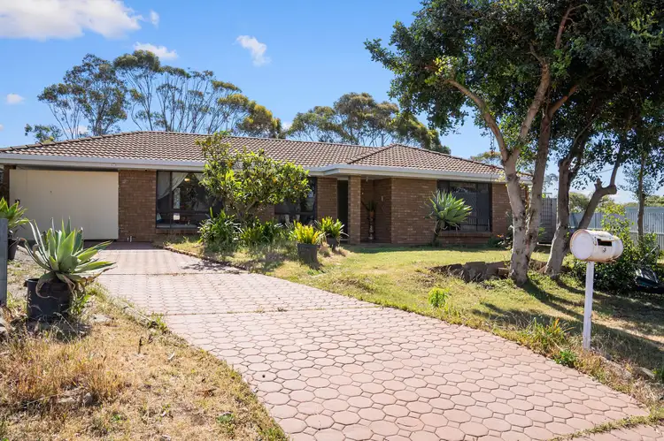 3 Olga Court, Morphett Vale SA 5162