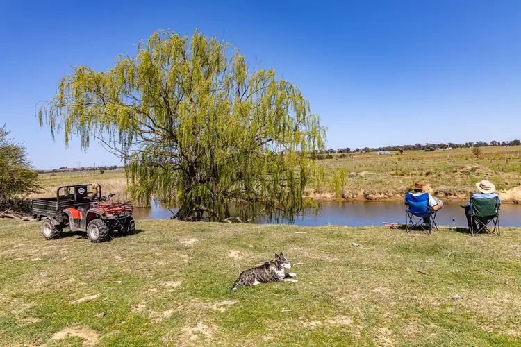 55 Felled Timber Road, Dalton NSW 2581