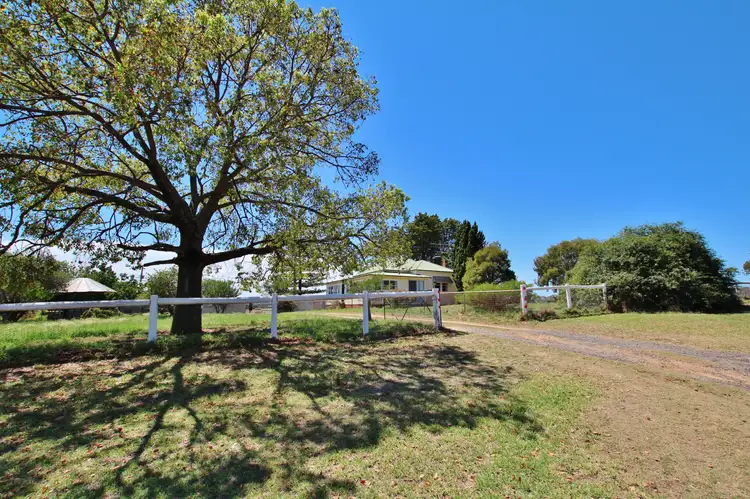 1144 Kingsvale Road, Young NSW 2594