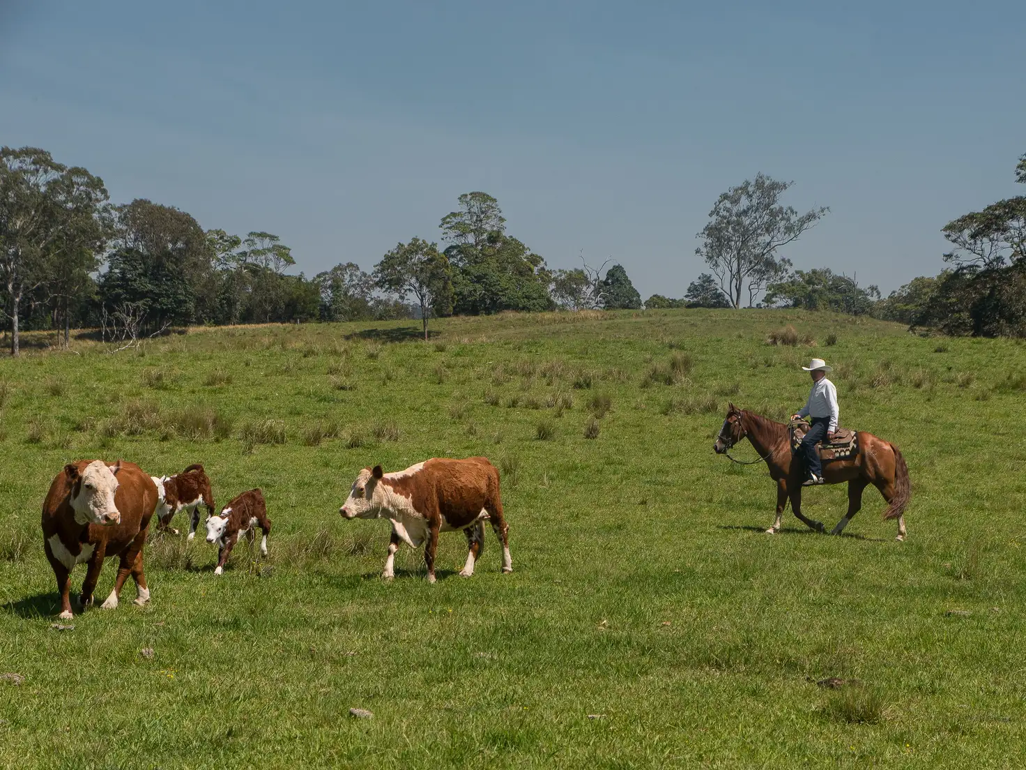 Main view of Homely house listing, L2 Mount Mee Road, Ocean View QLD 4521