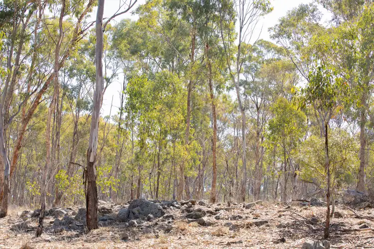 Third view of Homely rural property listing, 390 Gwydir River Road, Armidale NSW 2350