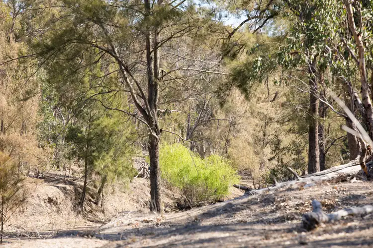 Fifth view of Homely rural property listing, 390 Gwydir River Road, Armidale NSW 2350