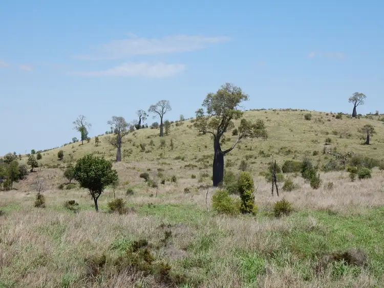 Sixth view of Homely rural property listing, 310 Fairview Road, Banana QLD 4702