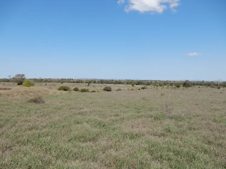 Seventh view of Homely rural property listing, 310 Fairview Road, Banana QLD 4702