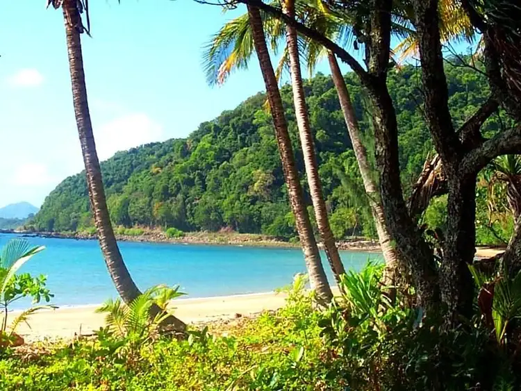 Third view of Homely house listing, 22 Webb Court, Bingil Bay QLD 4852