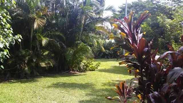 Seventh view of Homely house listing, 22 Webb Court, Bingil Bay QLD 4852