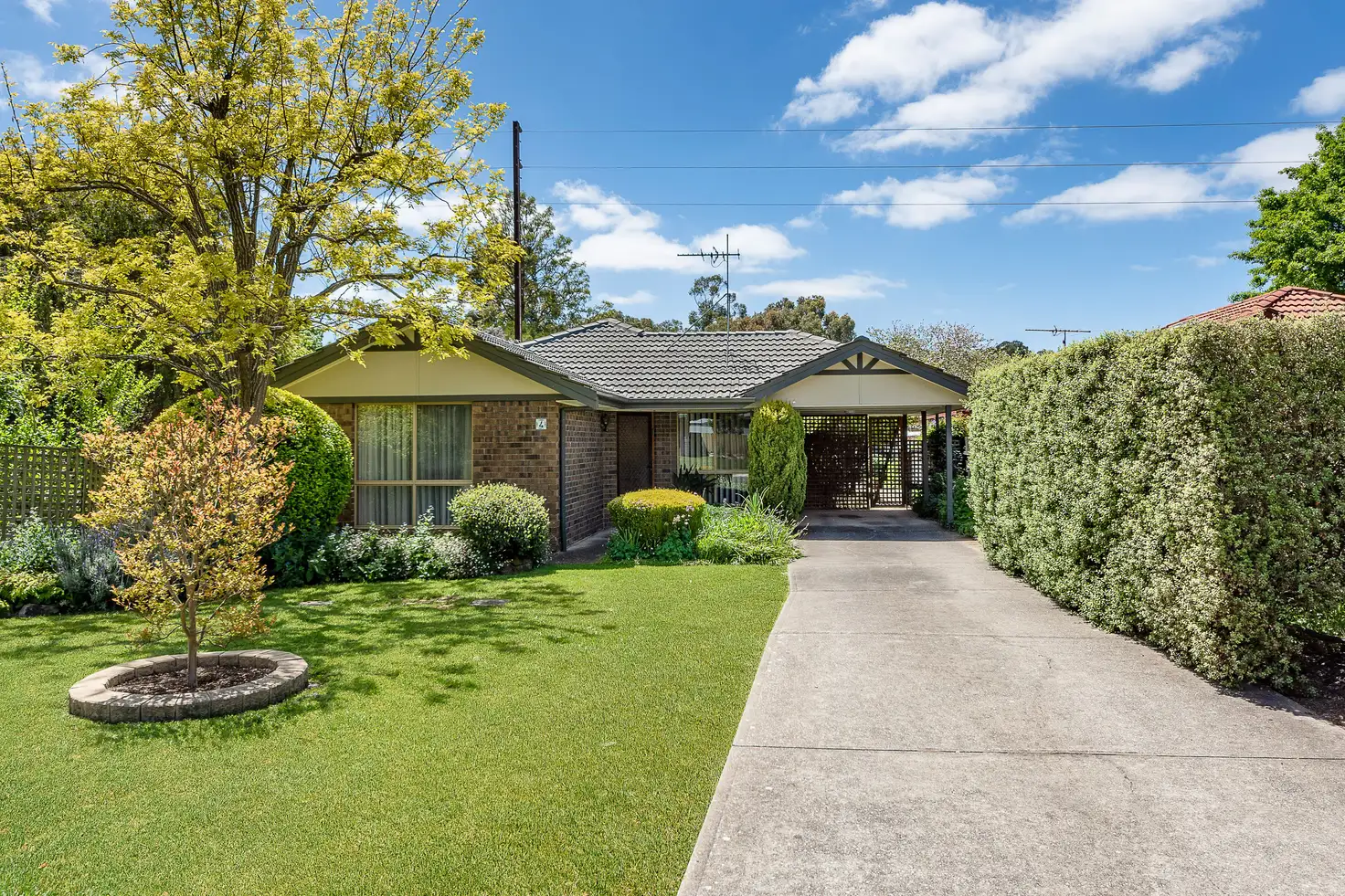 Main view of Homely house listing, 1/4 Wuttke Road, Mount Barker SA 5251