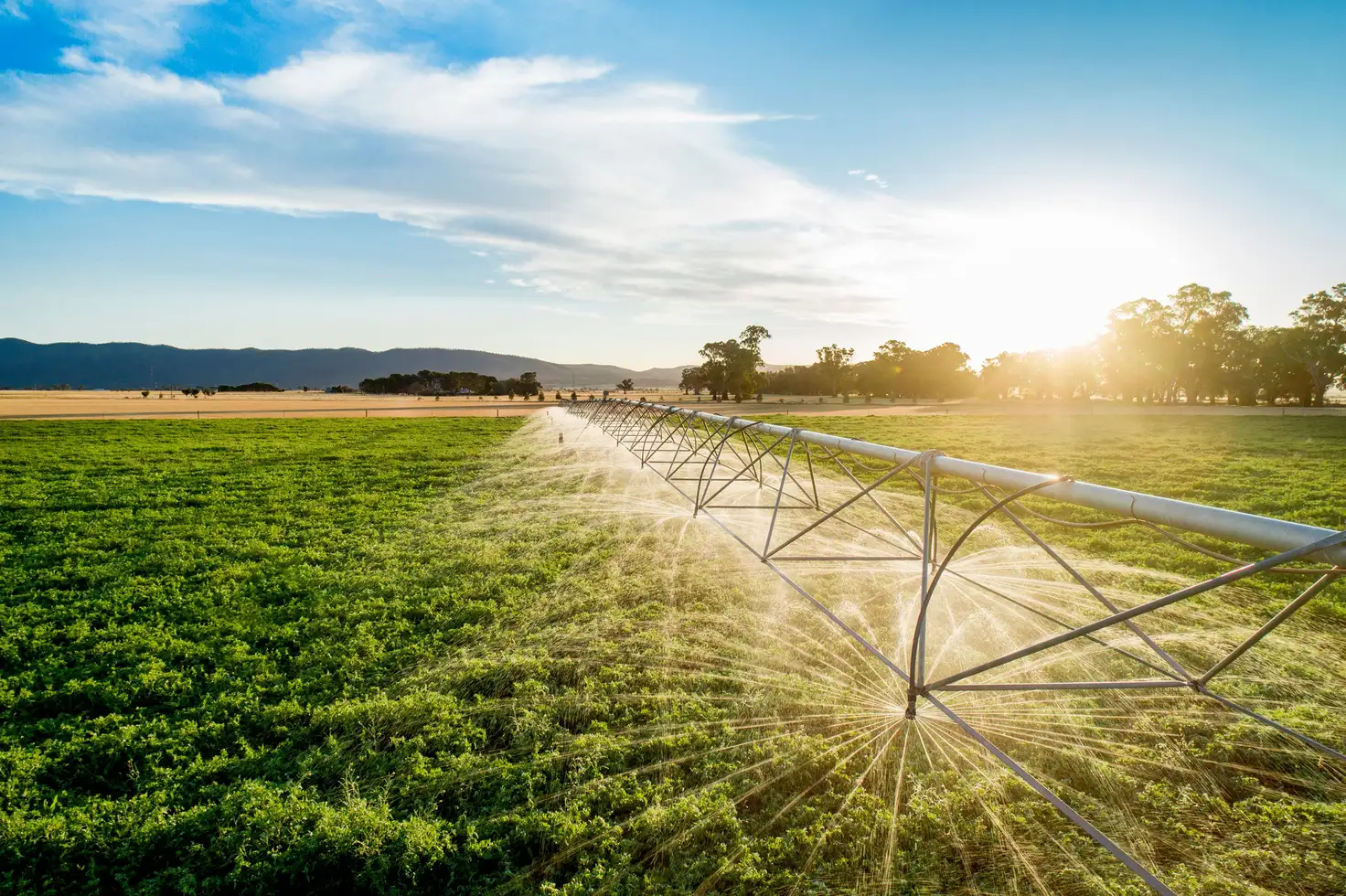 Main view of Homely rural property listing, 'Spring Creek' - 1131 Coonatto Road, Melrose SA 5483