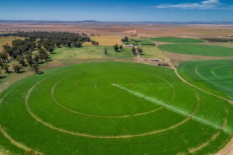 Second view of Homely rural property listing, 'Spring Creek' - 1131 Coonatto Road, Melrose SA 5483