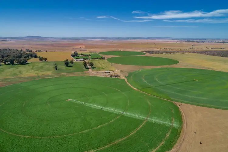 Fourth view of Homely rural property listing, 'Spring Creek' - 1131 Coonatto Road, Melrose SA 5483