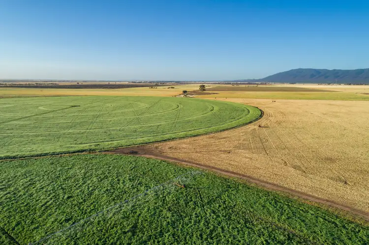 Fifth view of Homely rural property listing, 'Spring Creek' - 1131 Coonatto Road, Melrose SA 5483