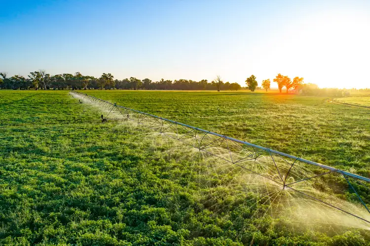 Seventh view of Homely rural property listing, 'Spring Creek' - 1131 Coonatto Road, Melrose SA 5483