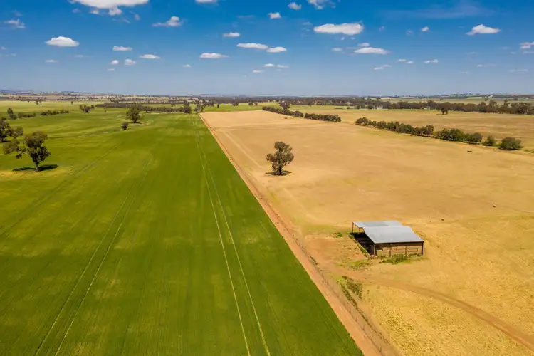 Fifth view of Homely rural property listing, Address available on request