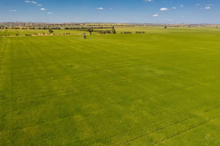 Sixth view of Homely rural property listing, Address available on request