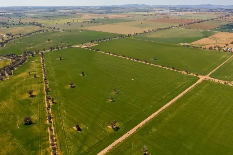 Seventh view of Homely rural property listing, Address available on request