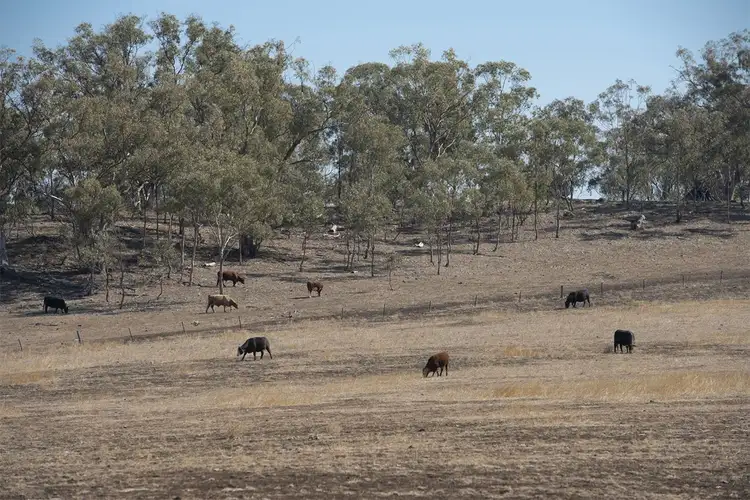Third view of Homely rural property listing, 7567 KIRRAWA  NEWELL Highway, Coonabarabran NSW 2357