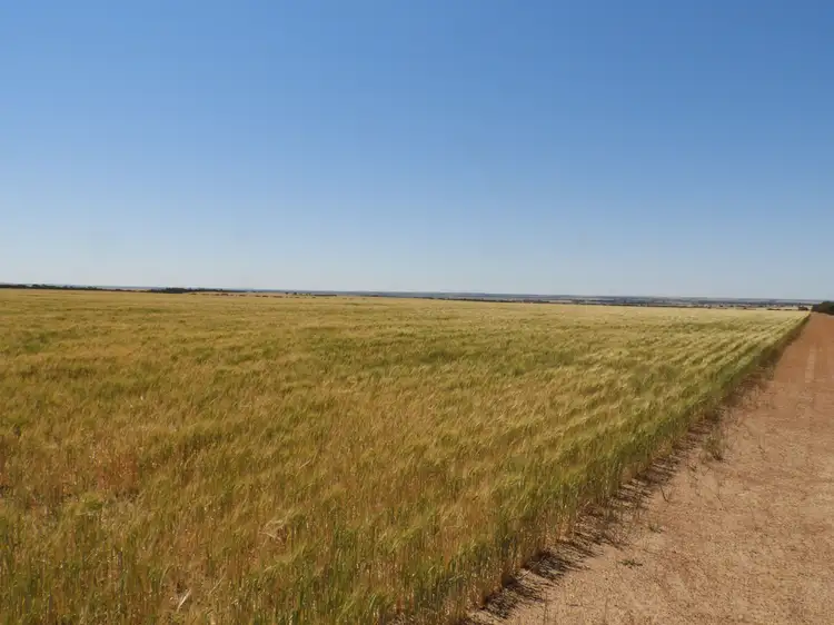 Third view of Homely rural property listing, EDL Farms, Lake Magenta, Newdegate WA 6355