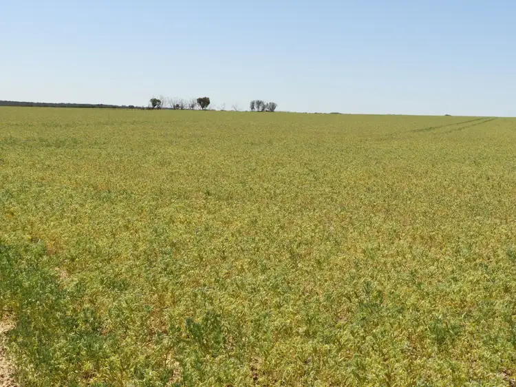 Fourth view of Homely rural property listing, EDL Farms, Lake Magenta, Newdegate WA 6355