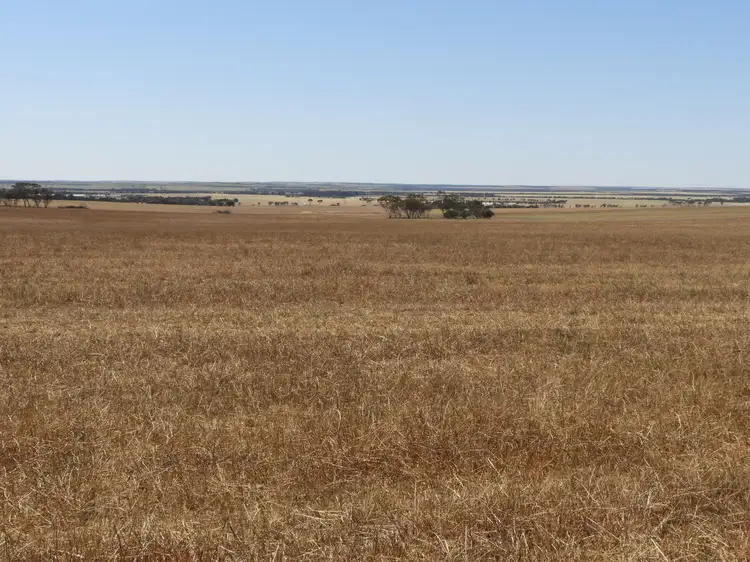 Fifth view of Homely rural property listing, EDL Farms, Lake Magenta, Newdegate WA 6355