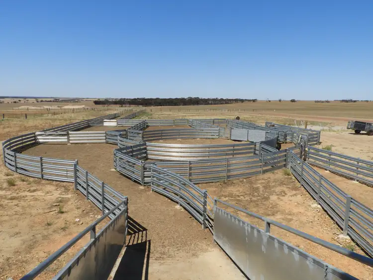 Sixth view of Homely rural property listing, EDL Farms, Lake Magenta, Newdegate WA 6355