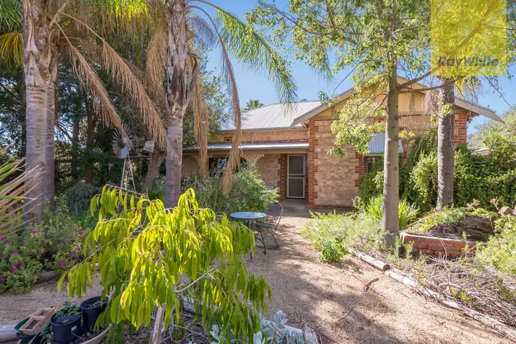 821 Pinery Road, Pinery SA 5460