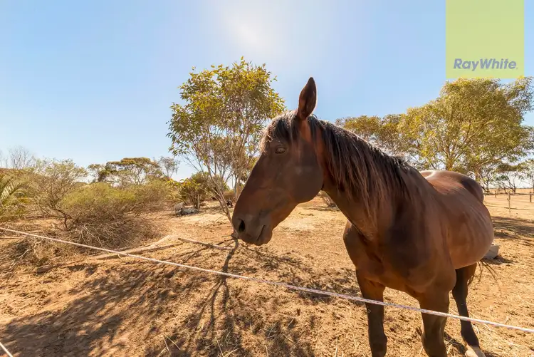 Third view of Homely house listing, 821 Pinery Road, Pinery SA 5460