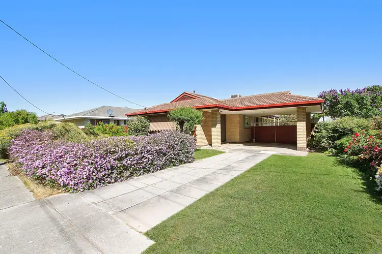Main view of Homely house listing, 341 Beechworth Road, Wodonga VIC 3690