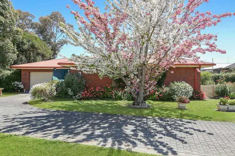 2/11 Longmore Street, Camperdown VIC 3260