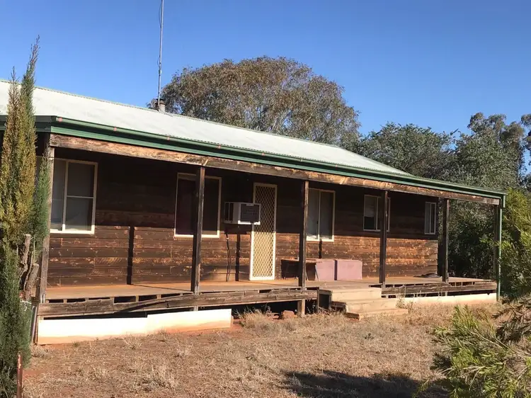 Main view of Homely house listing, 61-63 Long Street, Trundle NSW 2875