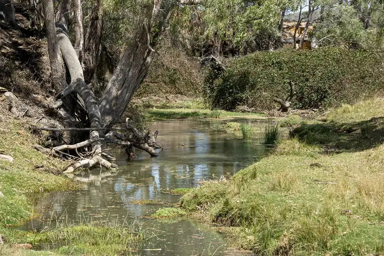 Third view of Homely rural property listing, 8569 SUNNY-BRAE NEWELL Highway, Coonabarabran NSW 2357
