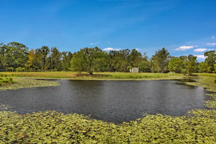 Fourth view of Homely rural property listing, 254 Birds Road, Guanaba QLD 4210