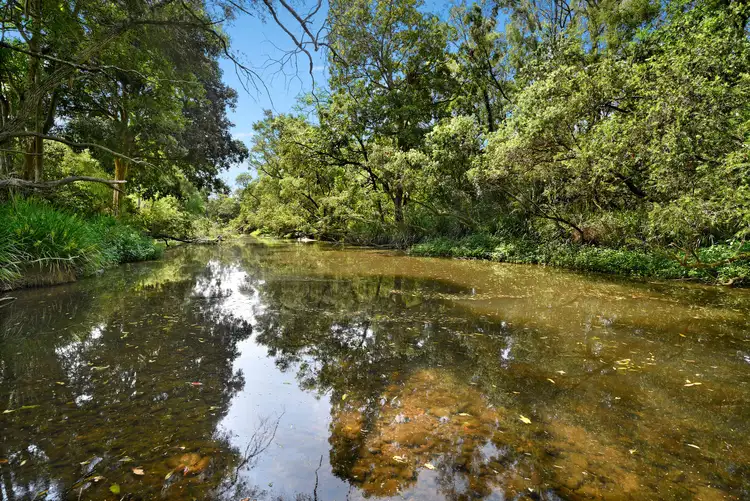 Fifth view of Homely rural property listing, 254 Birds Road, Guanaba QLD 4210
