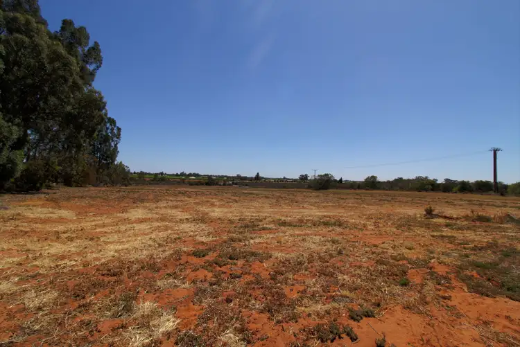 142 Gordon Road, Barmera SA 5345