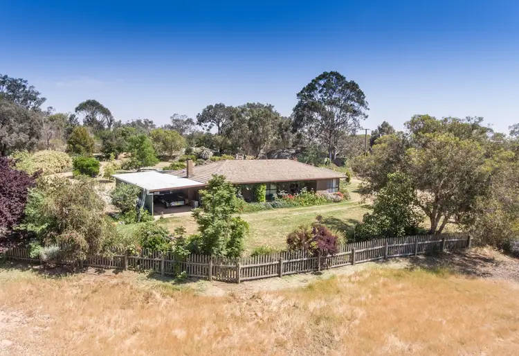 249 Noonans Road, Young NSW 2594