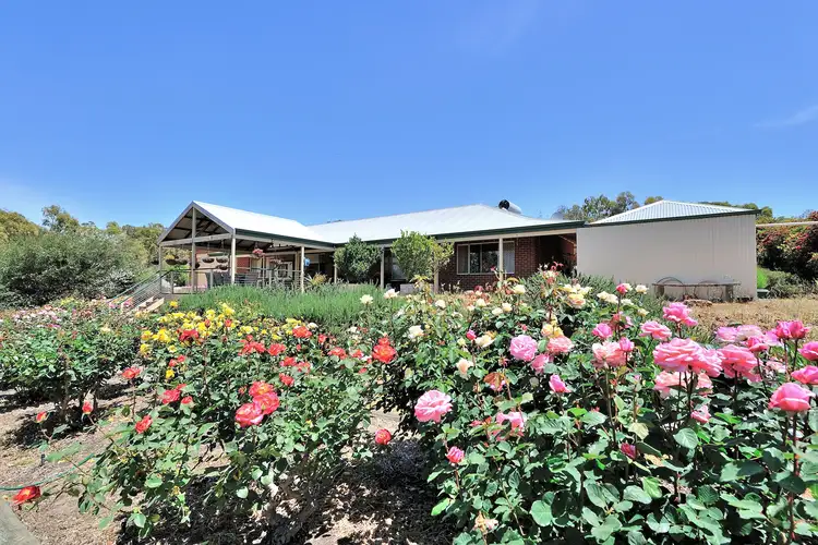 Main view of Homely house listing, 246 Ayrshire Loop, Lower Chittering WA 6084