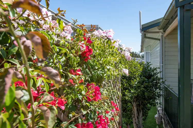 Fifth view of Homely villa listing, 106/4 Gimberts Road, Morisset NSW 2264