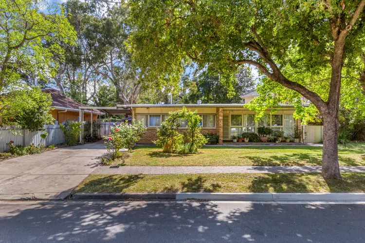 12 Pittwater Drive, Windsor Gardens SA 5087
