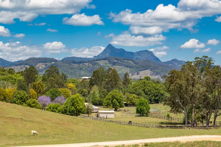 Sixth view of Homely rural property listing, 492 Nobbys Creek Road, Nobbys Creek NSW 2484