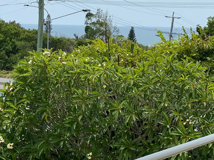 Fourth view of Homely house listing, 3 Podargus Parade, Peregian Beach QLD 4573