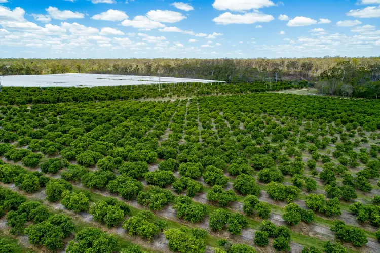 Fifth view of Homely rural property listing, 27835 Bruce Highway, Isis River QLD 4660
