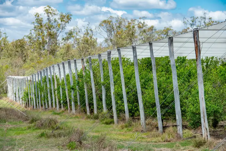 Seventh view of Homely rural property listing, 27835 Bruce Highway, Isis River QLD 4660