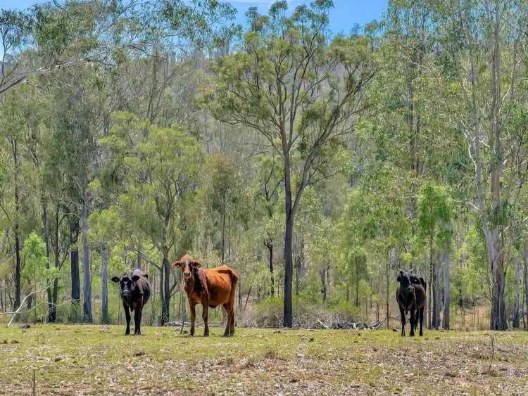 Third view of Homely rural property listing, 6166 Brisbane Valley Highway, Biarra QLD 4313