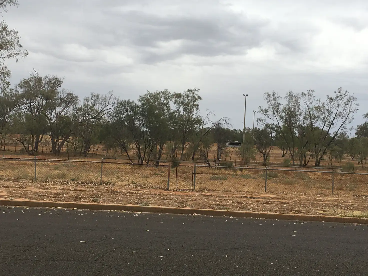 Main view of Homely land listing, 25 Galatea Street, Charleville QLD 4470