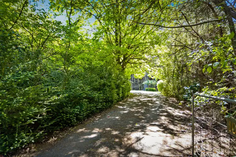 Fifth view of Homely house listing, 10 Goodwood Street, Noojee VIC 3833