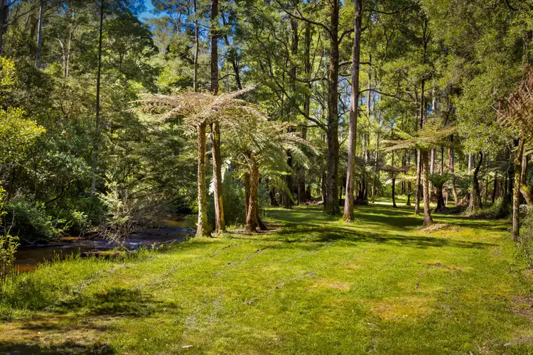 Seventh view of Homely house listing, 10 Goodwood Street, Noojee VIC 3833