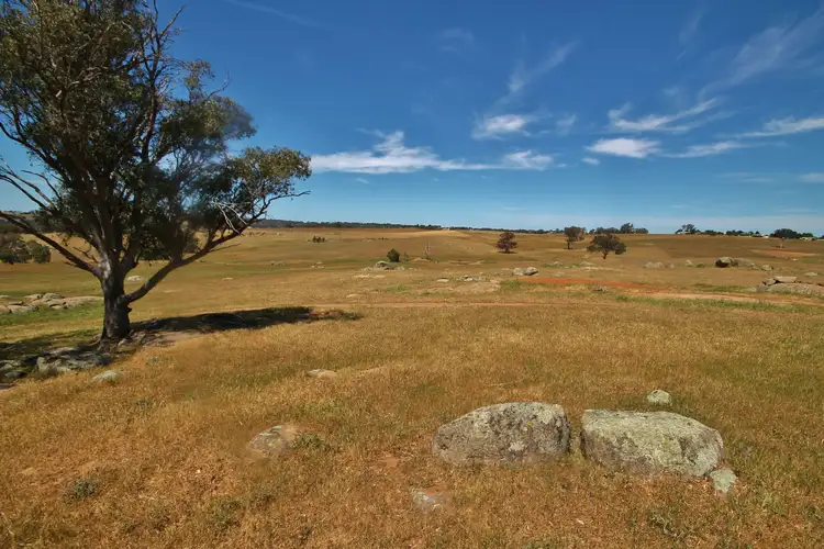 495 Spring Creek Road, Young NSW 2594