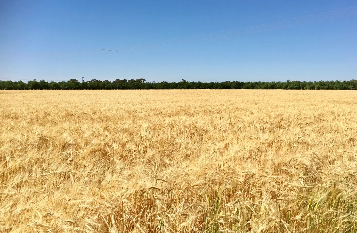 Main view of Homely land listing, Lot 14 Gawler River Road, Lewiston SA 5501