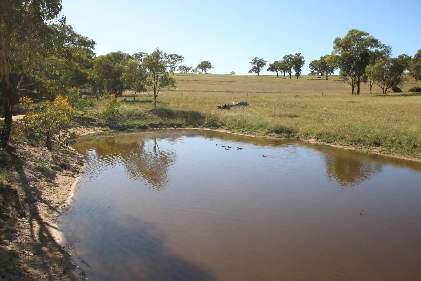 Main view of Homely rural property listing, Lot 125, 1488 Mutton Falls Road, O'connell NSW 2795